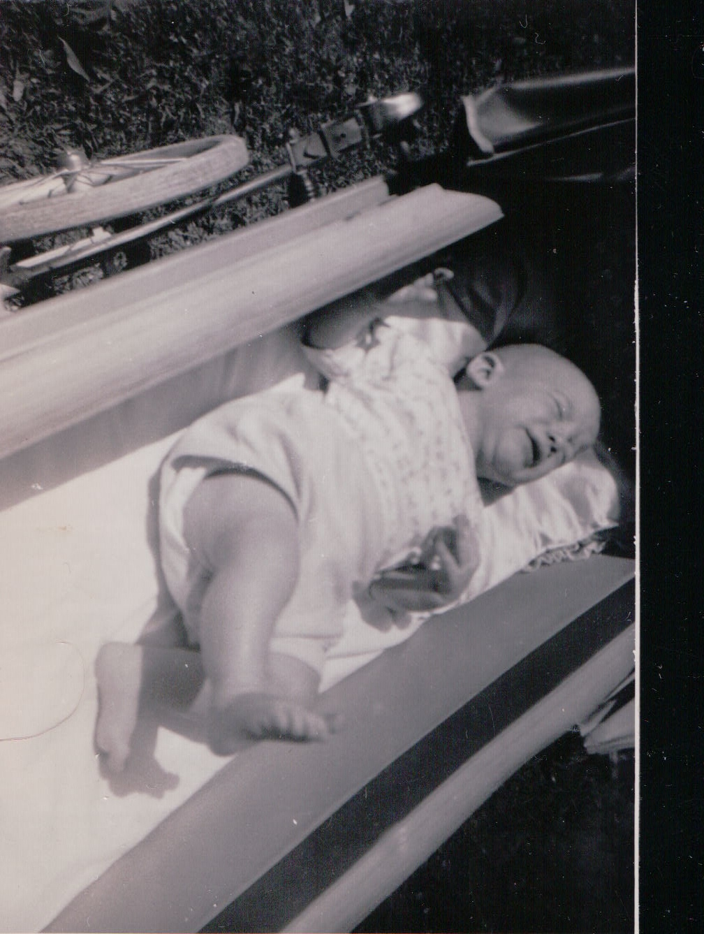 277-2.JPG  by Terry Kelly Photography