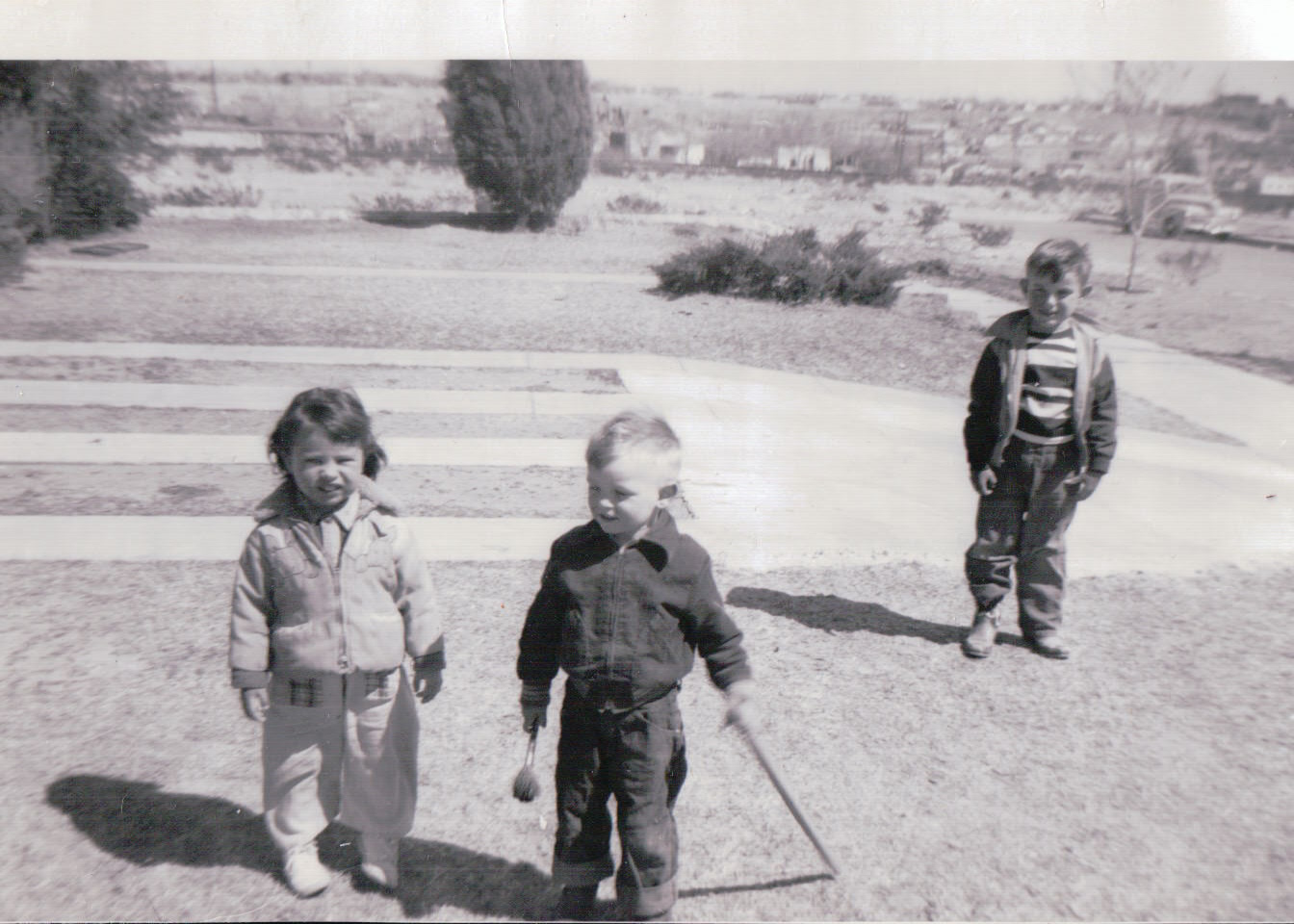 507.JPG  by Terry Kelly Photography