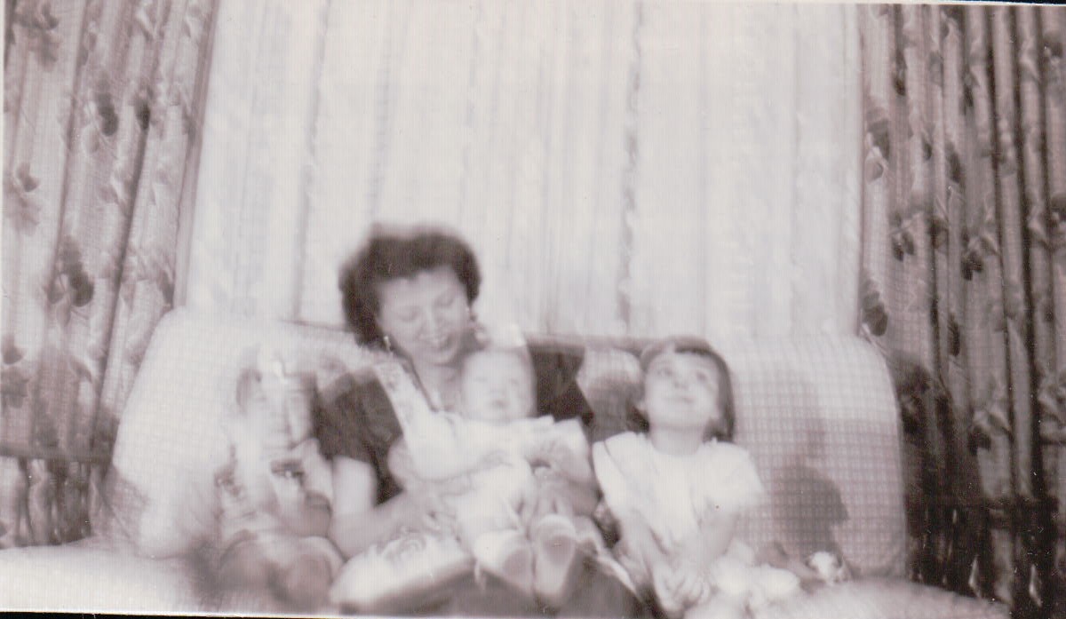 1129.JPG  by Terry Kelly Photography