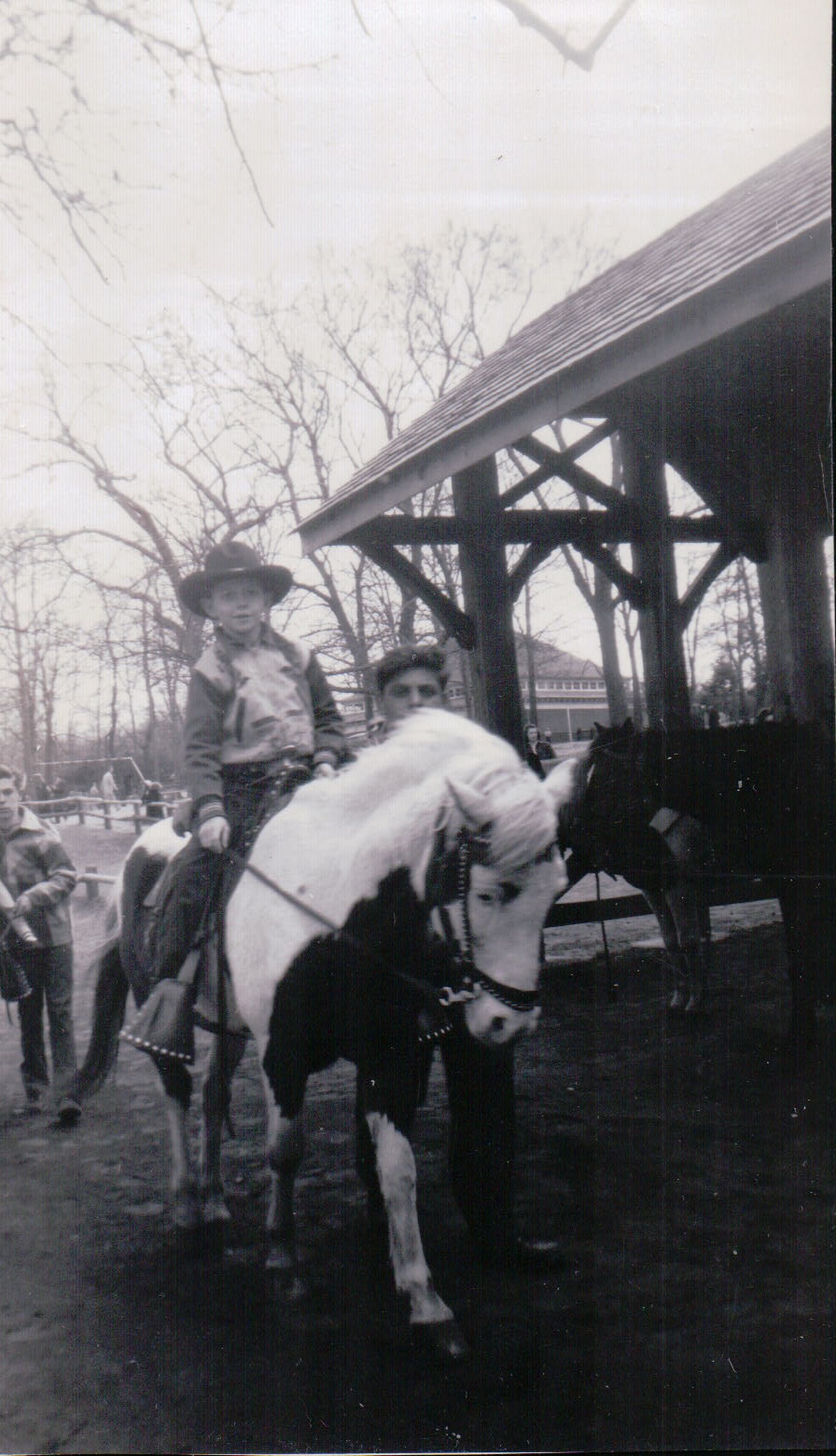 1119.JPG  by Terry Kelly Photography