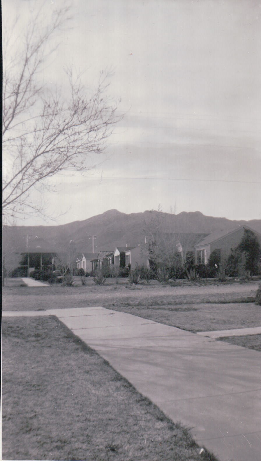 1051.JPG  by Terry Kelly Photography