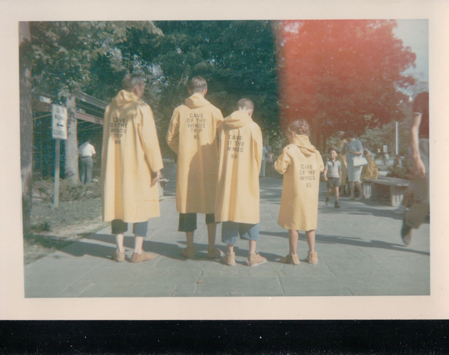 991.JPG  by Terry Kelly Photography