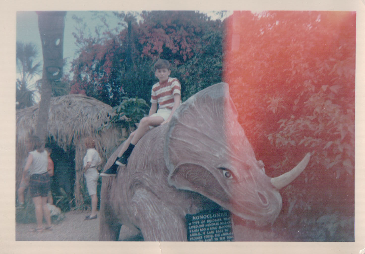 971.JPG  by Terry Kelly Photography