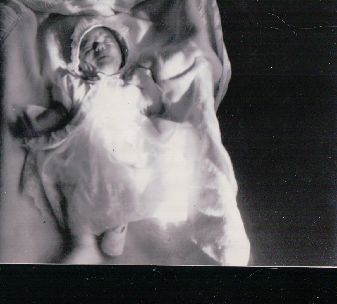 246.JPG  by Terry Kelly Photography