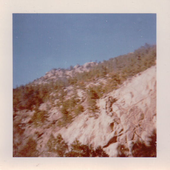 331.JPG  by Terry Kelly Photography