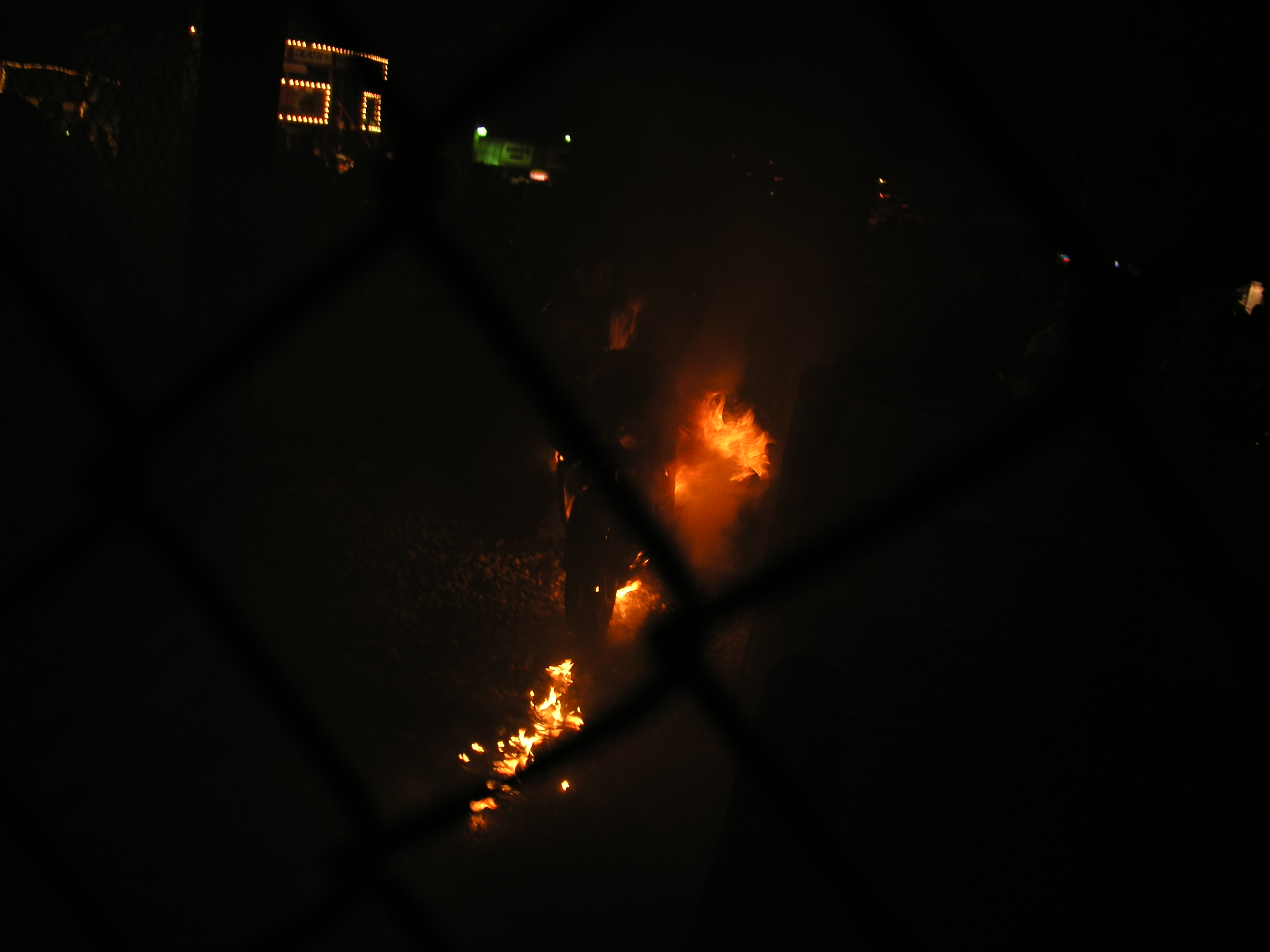 OLYMPUS DIGITAL CAMERA          OLYMPUS DIGITAL CAMERA          by Terry Kelly Photography