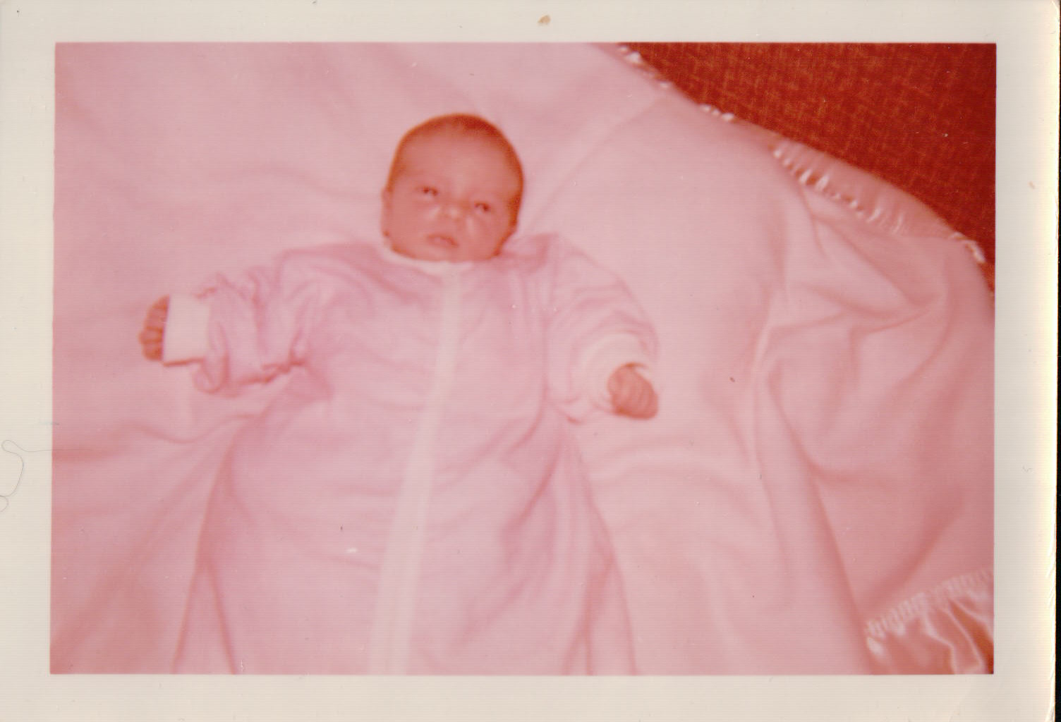 500.JPG  by Terry Kelly Photography