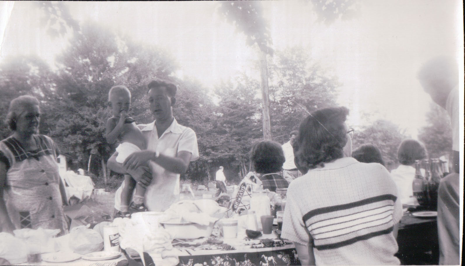 1127.JPG  by Terry Kelly Photography