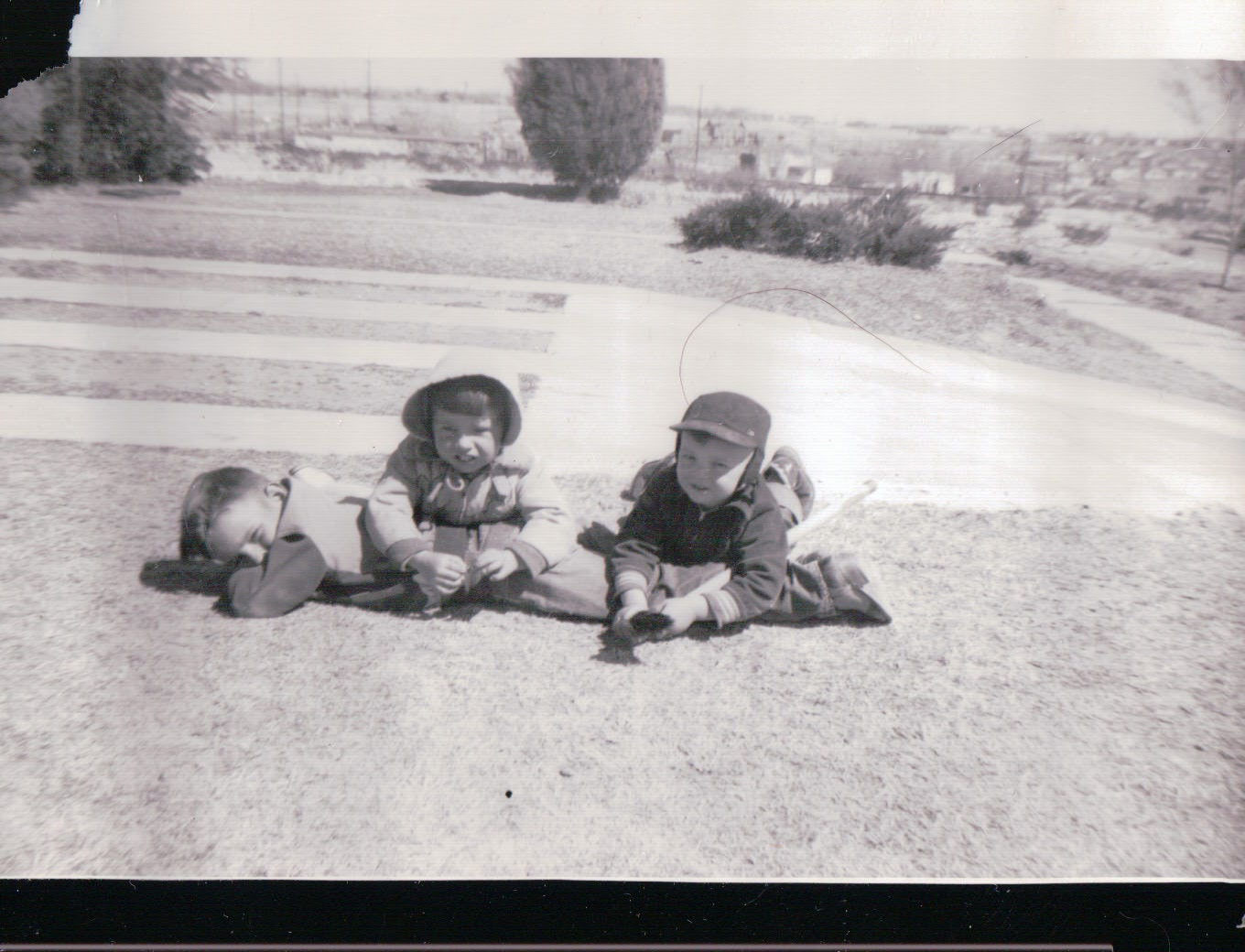 258.JPG  by Terry Kelly Photography