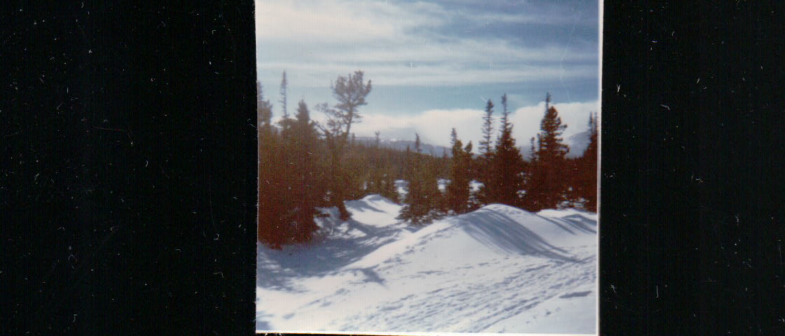 435.JPG  by Terry Kelly Photography