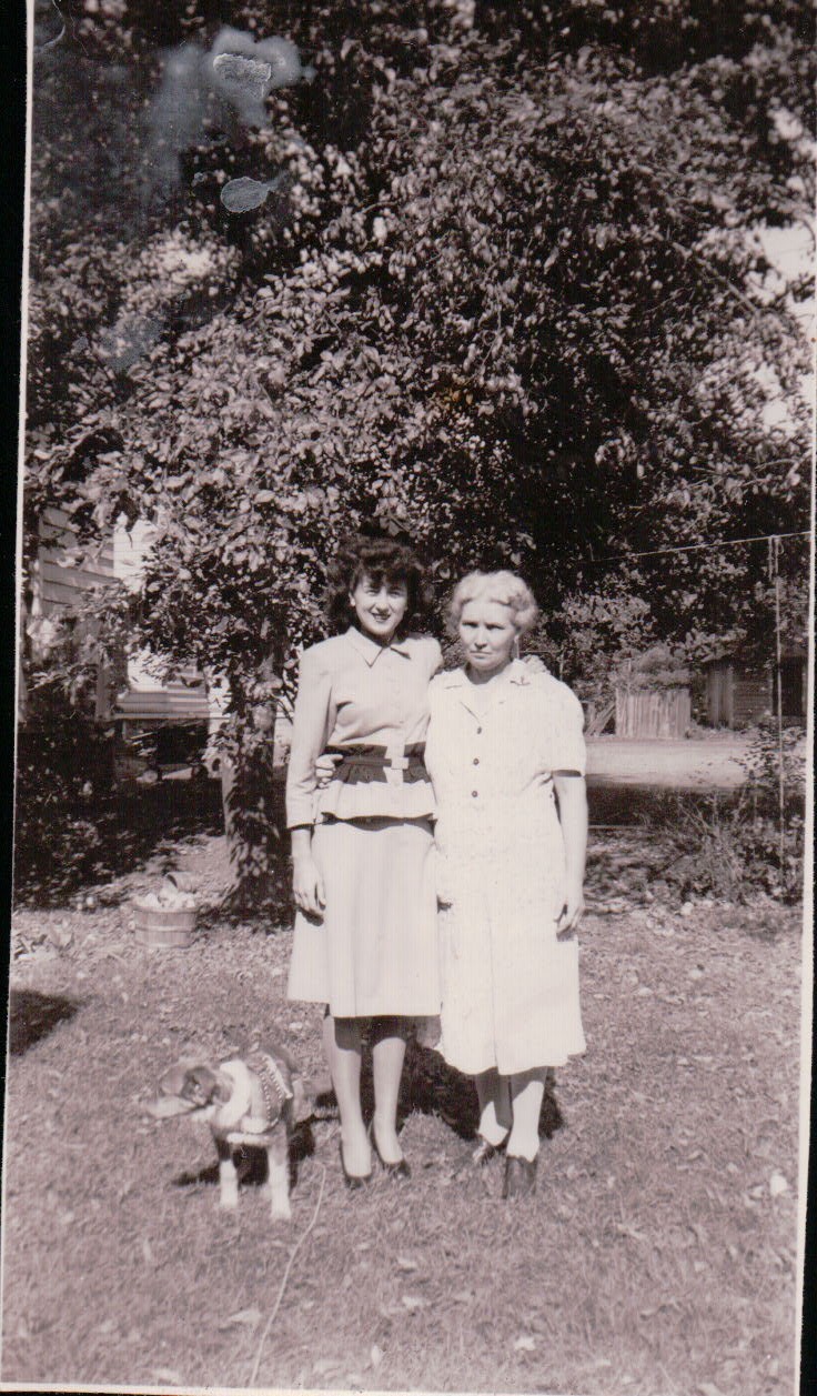 1193.JPG  by Terry Kelly Photography