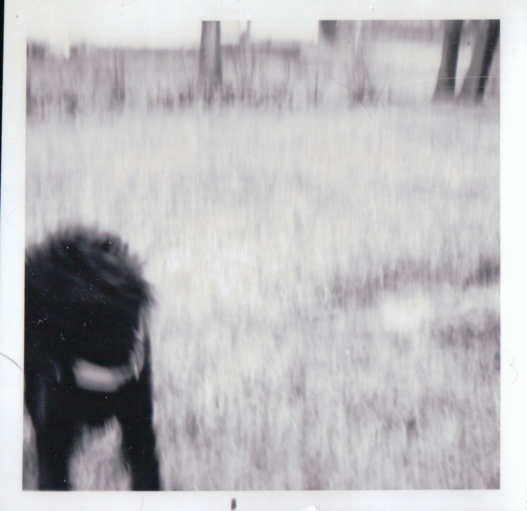 190.JPG  by Terry Kelly Photography