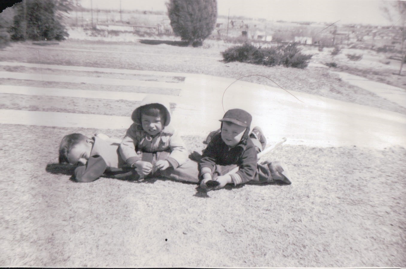 258.JPG  by Terry Kelly Photography