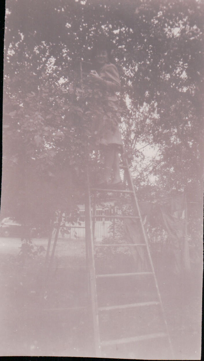 648.JPG  by Terry Kelly Photography