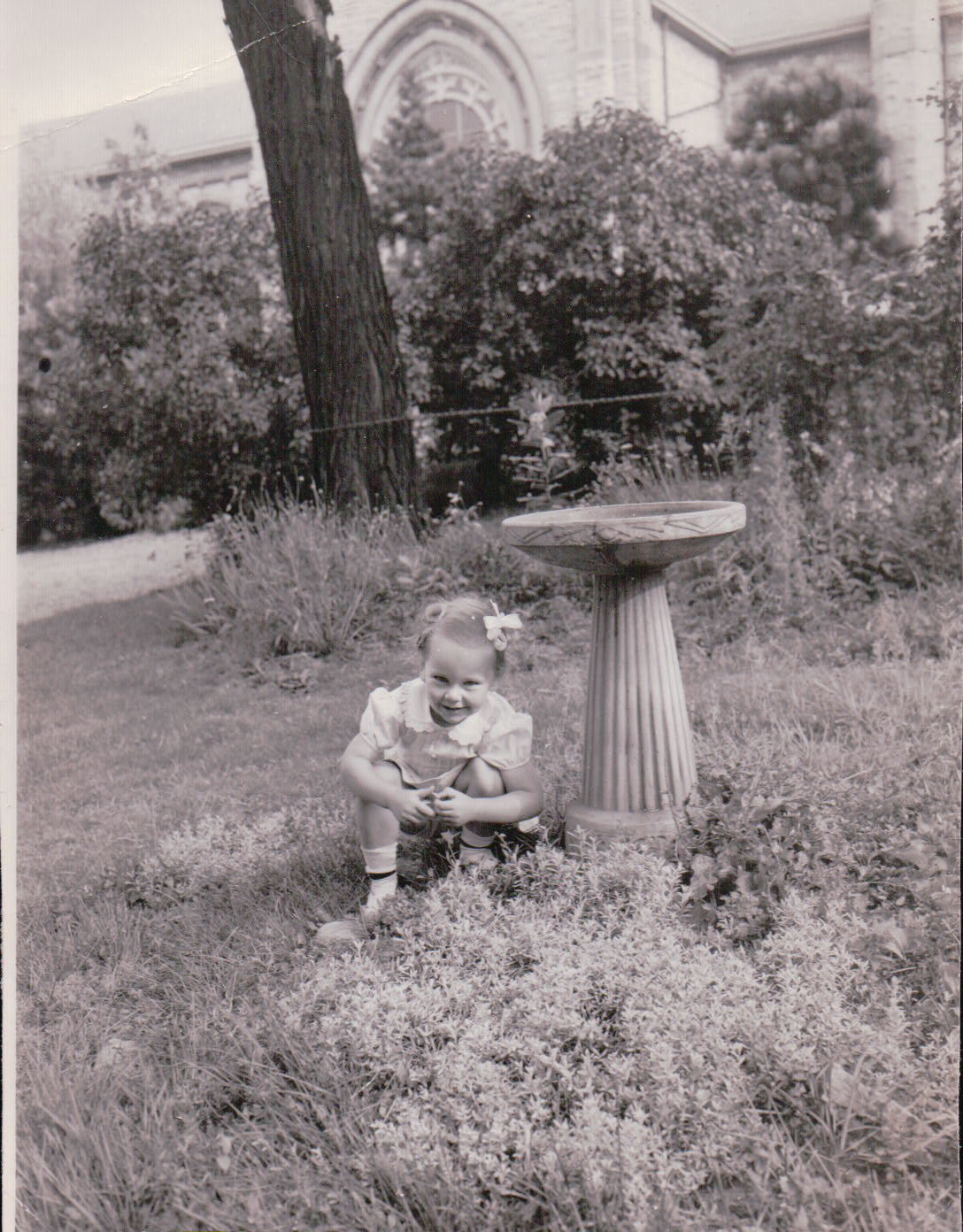 595.JPG  by Terry Kelly Photography