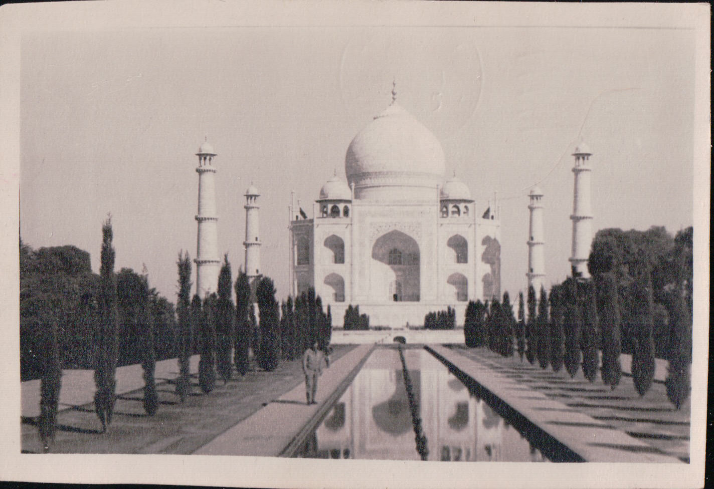 1292.JPG  by Terry Kelly Photography