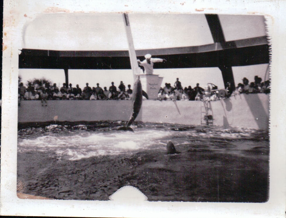 402.JPG  by Terry Kelly Photography