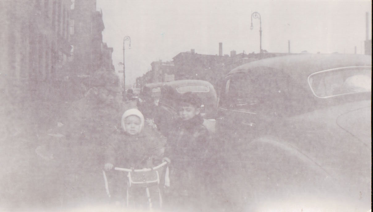 1121.JPG  by Terry Kelly Photography