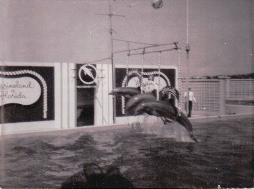 171.JPG  by Terry Kelly Photography