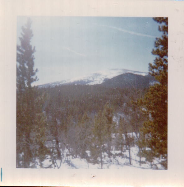 330.JPG  by Terry Kelly Photography