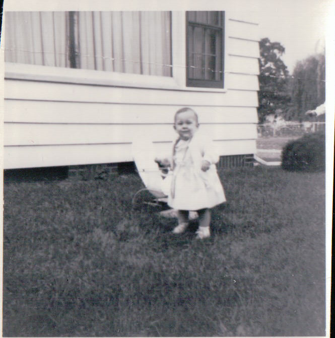 532.JPG  by Terry Kelly Photography