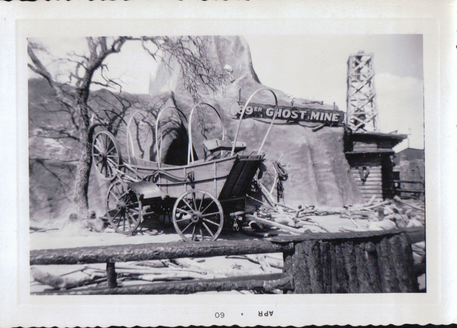 953.JPG  by Terry Kelly Photography