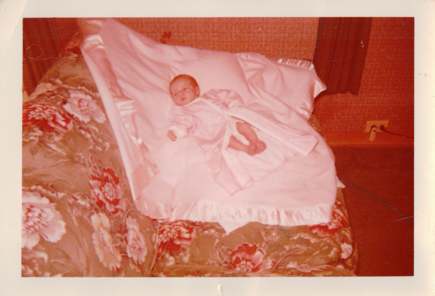 093.JPG  by Terry Kelly Photography