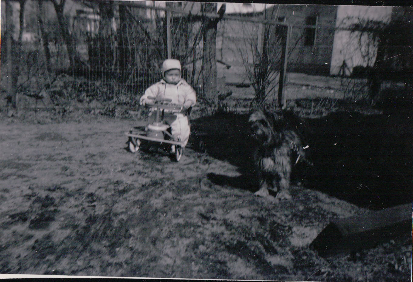 221.JPG  by Terry Kelly Photography