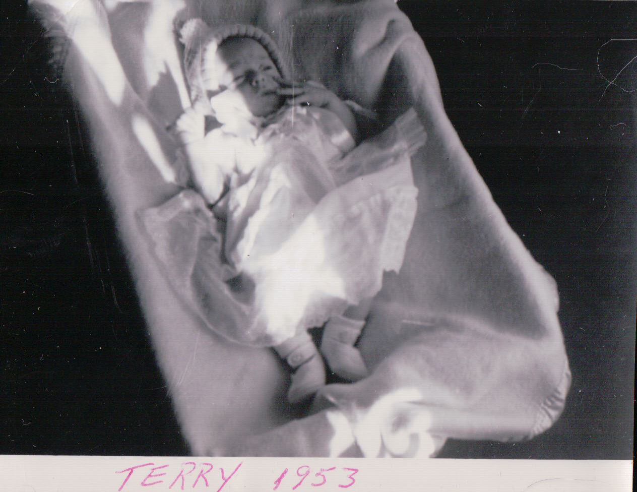 247.JPG  by Terry Kelly Photography