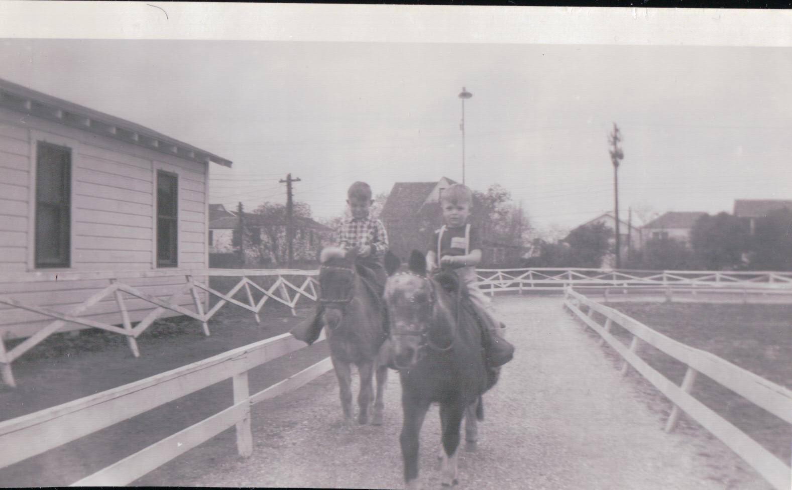 506.JPG  by Terry Kelly Photography