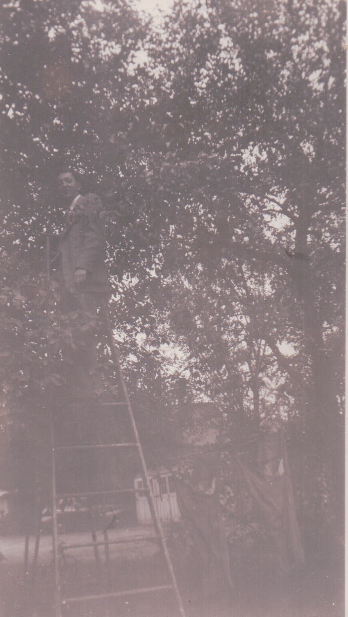 1197.JPG  by Terry Kelly Photography