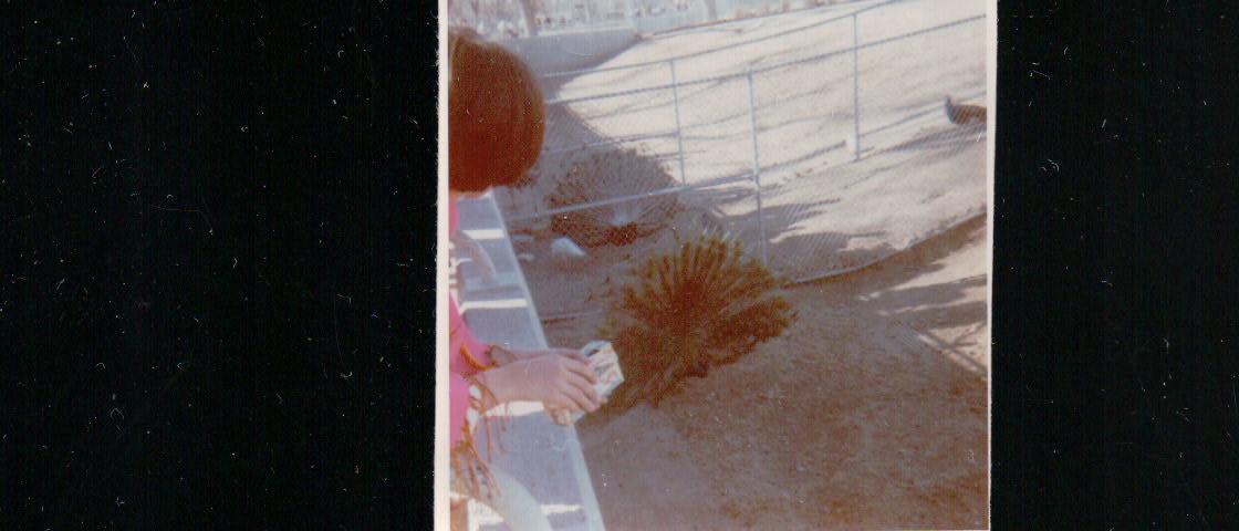 434.JPG  by Terry Kelly Photography