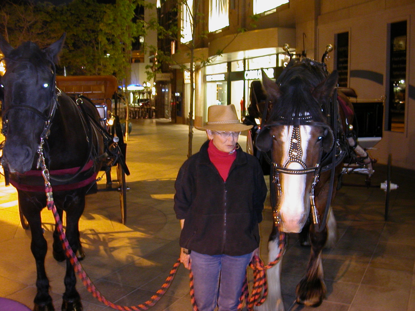                       by Terry Kelly Photography