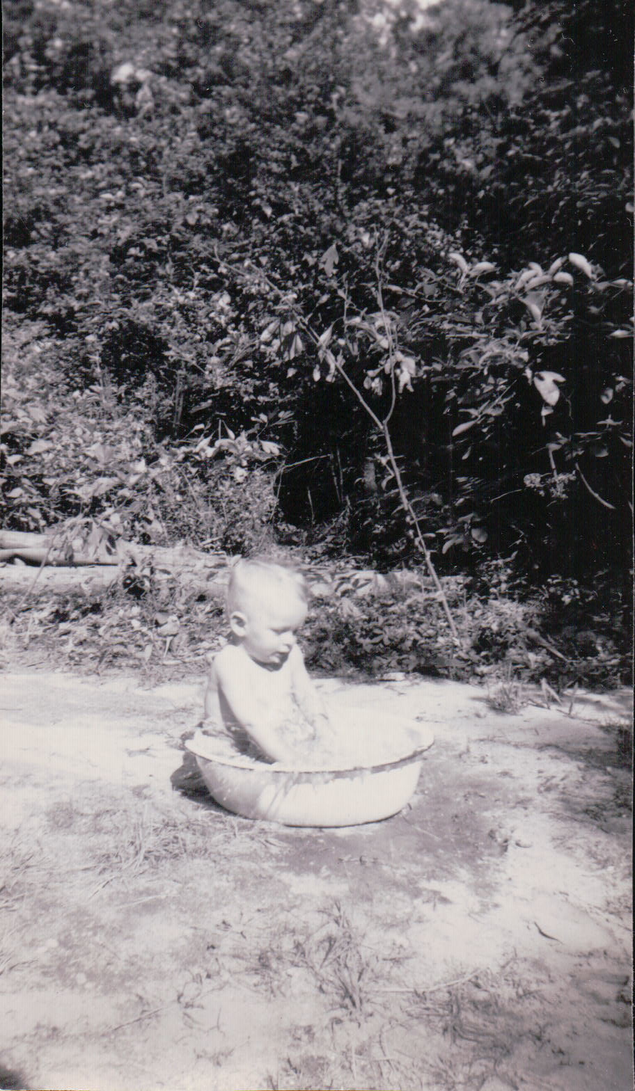 546.JPG  by Terry Kelly Photography