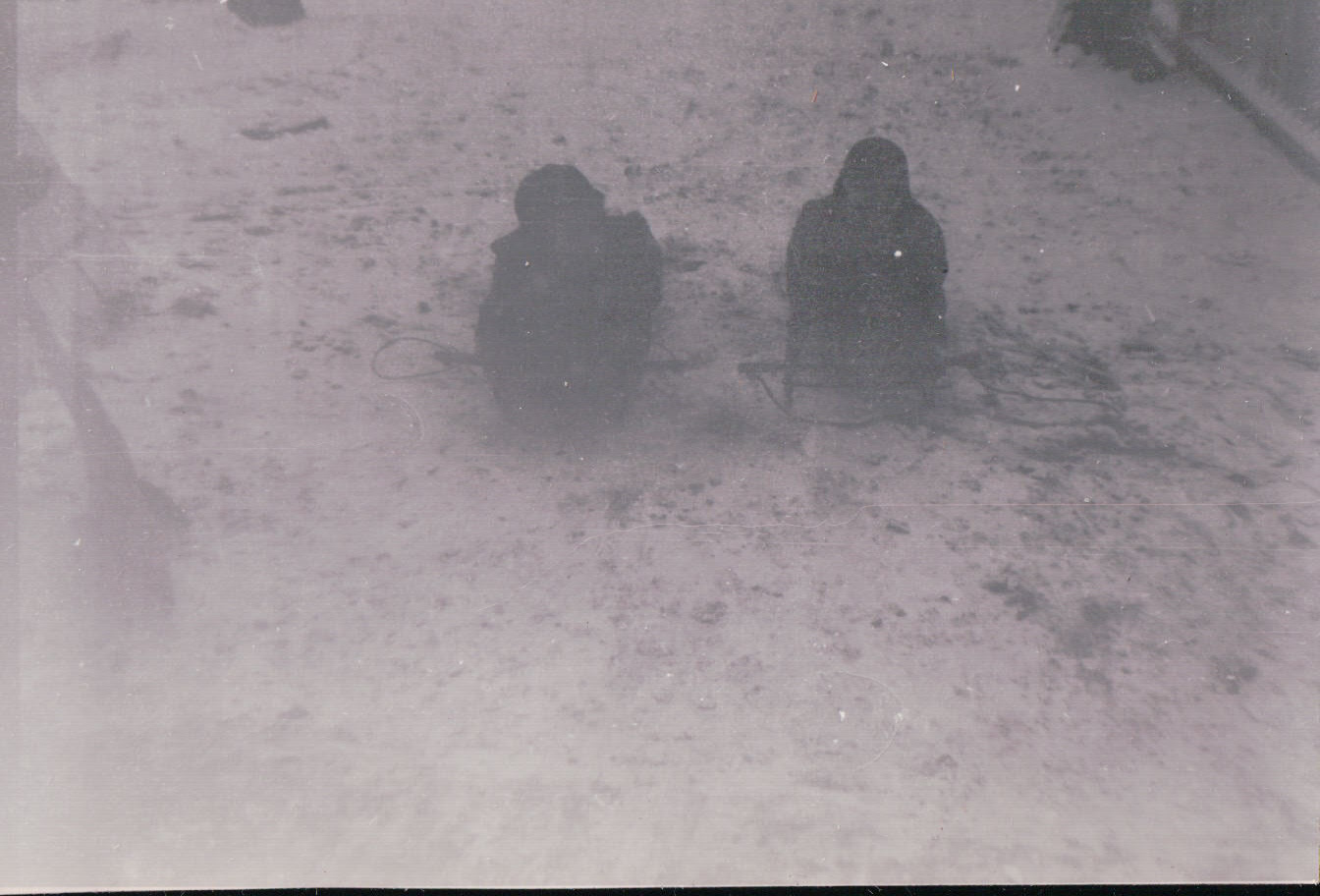 219.JPG  by Terry Kelly Photography