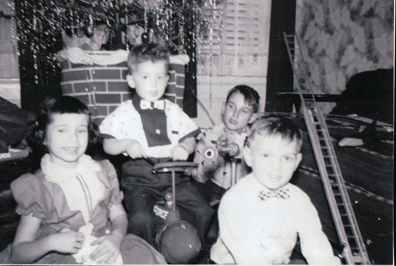 230.JPG  by Terry Kelly Photography