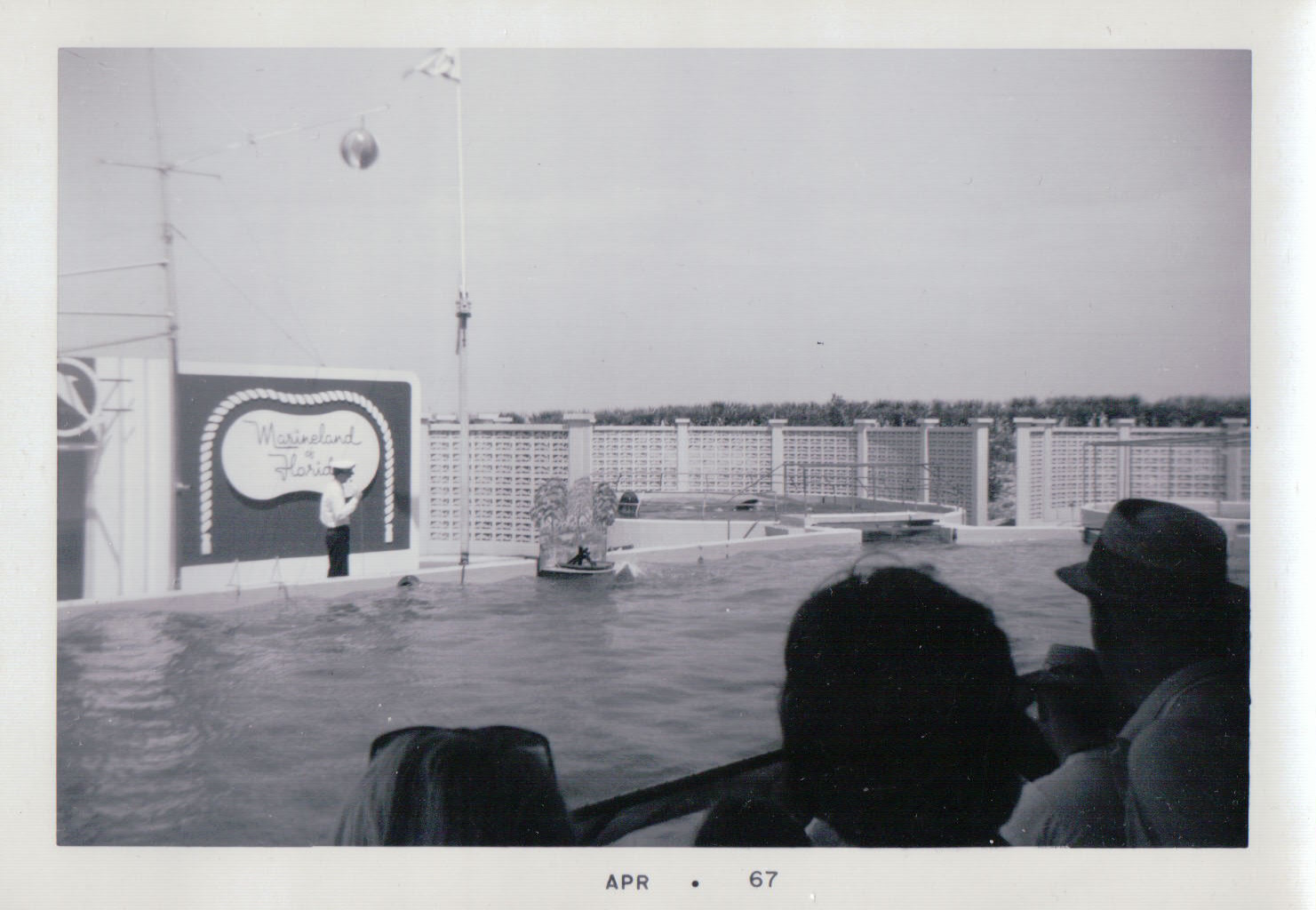 997 - Copy.JPG  by Terry Kelly Photography