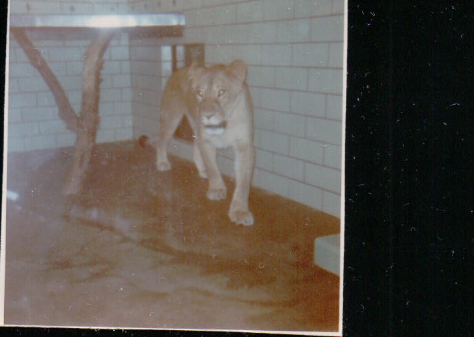 453.JPG  by Terry Kelly Photography