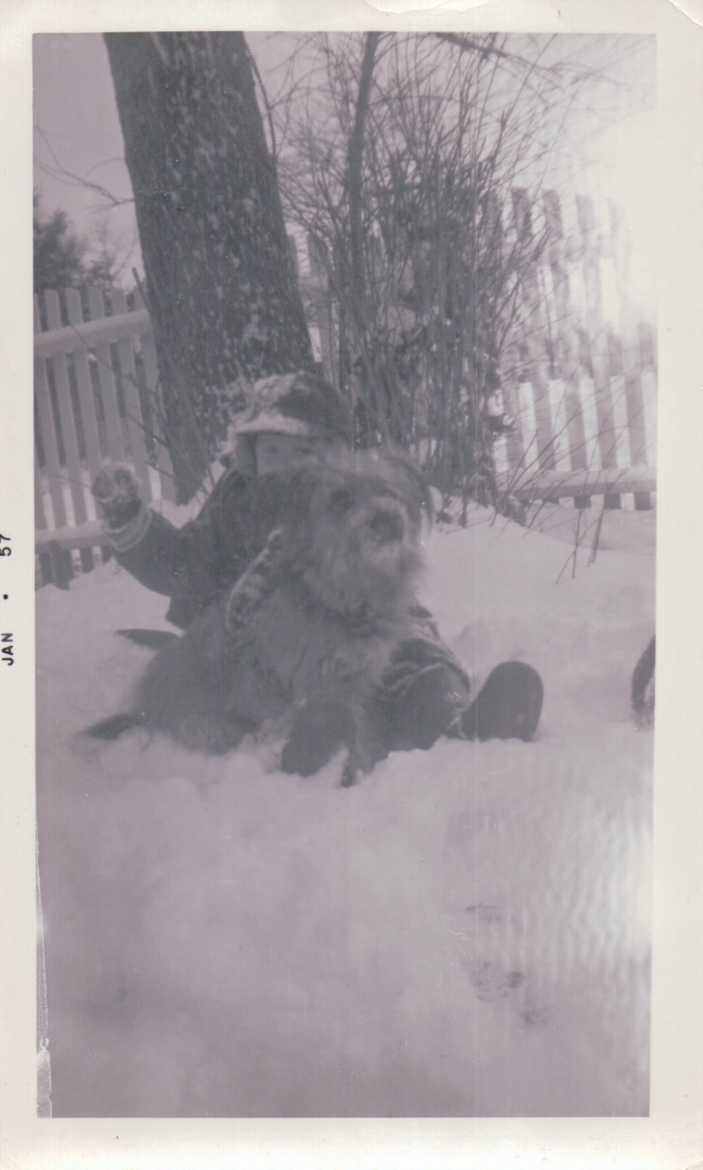 1029.JPG  by Terry Kelly Photography