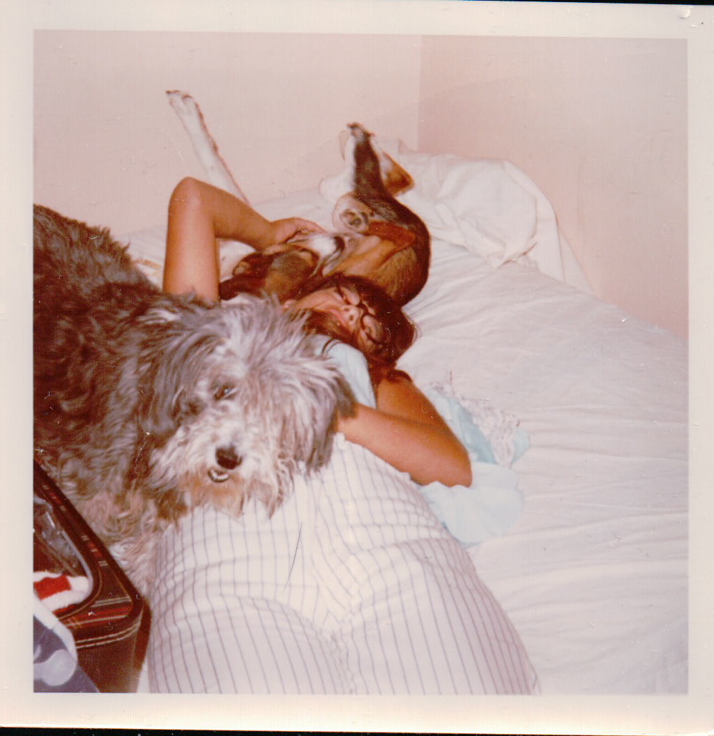 315.JPG  by Terry Kelly Photography