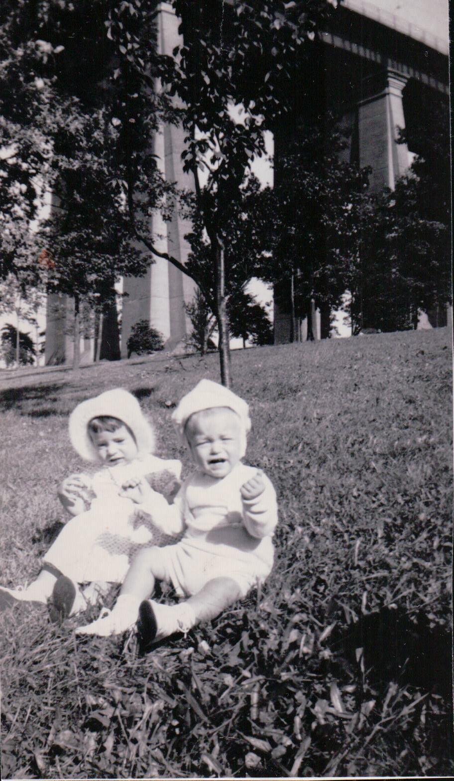 536.JPG  by Terry Kelly Photography