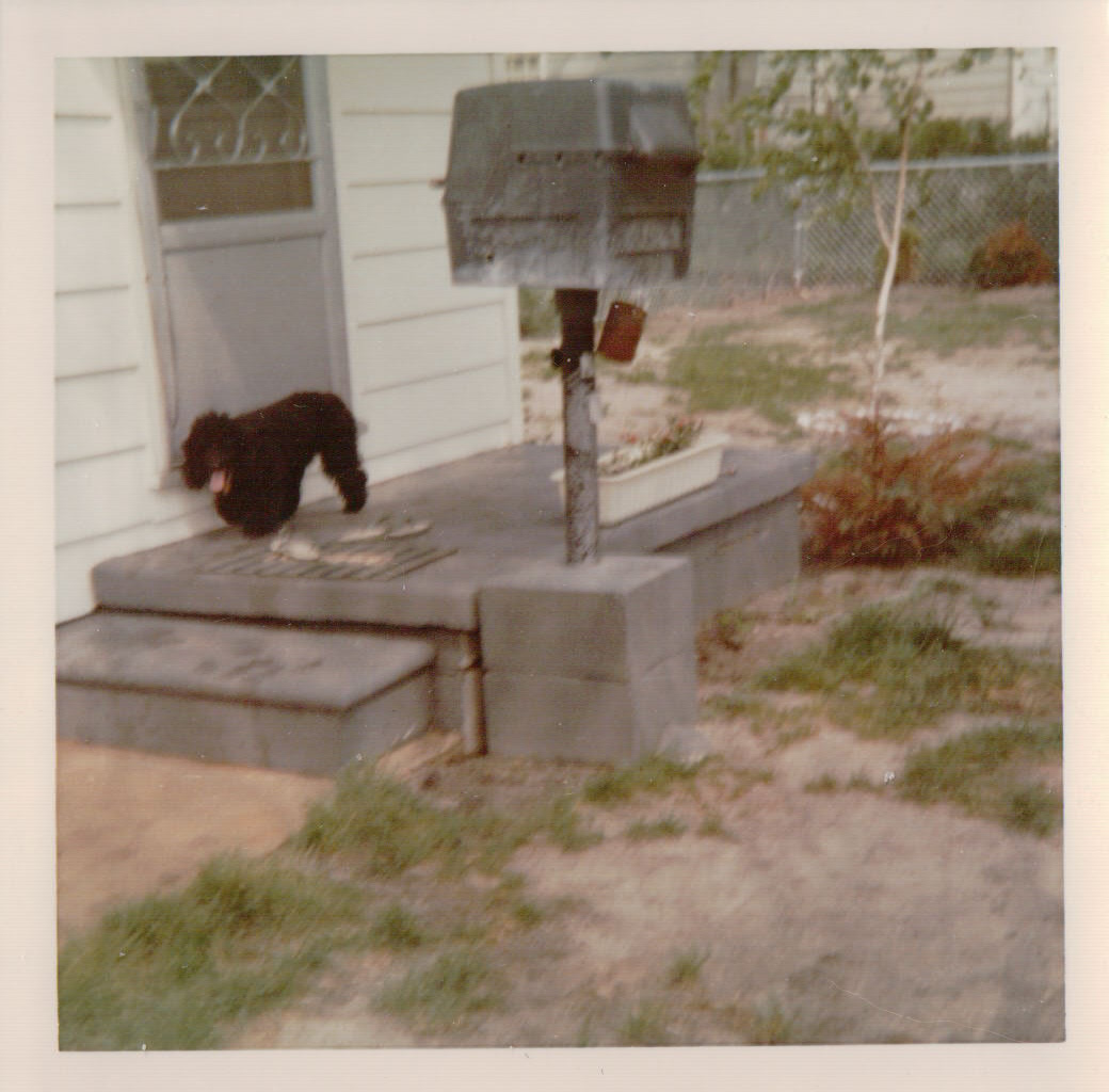 135.JPG  by Terry Kelly Photography