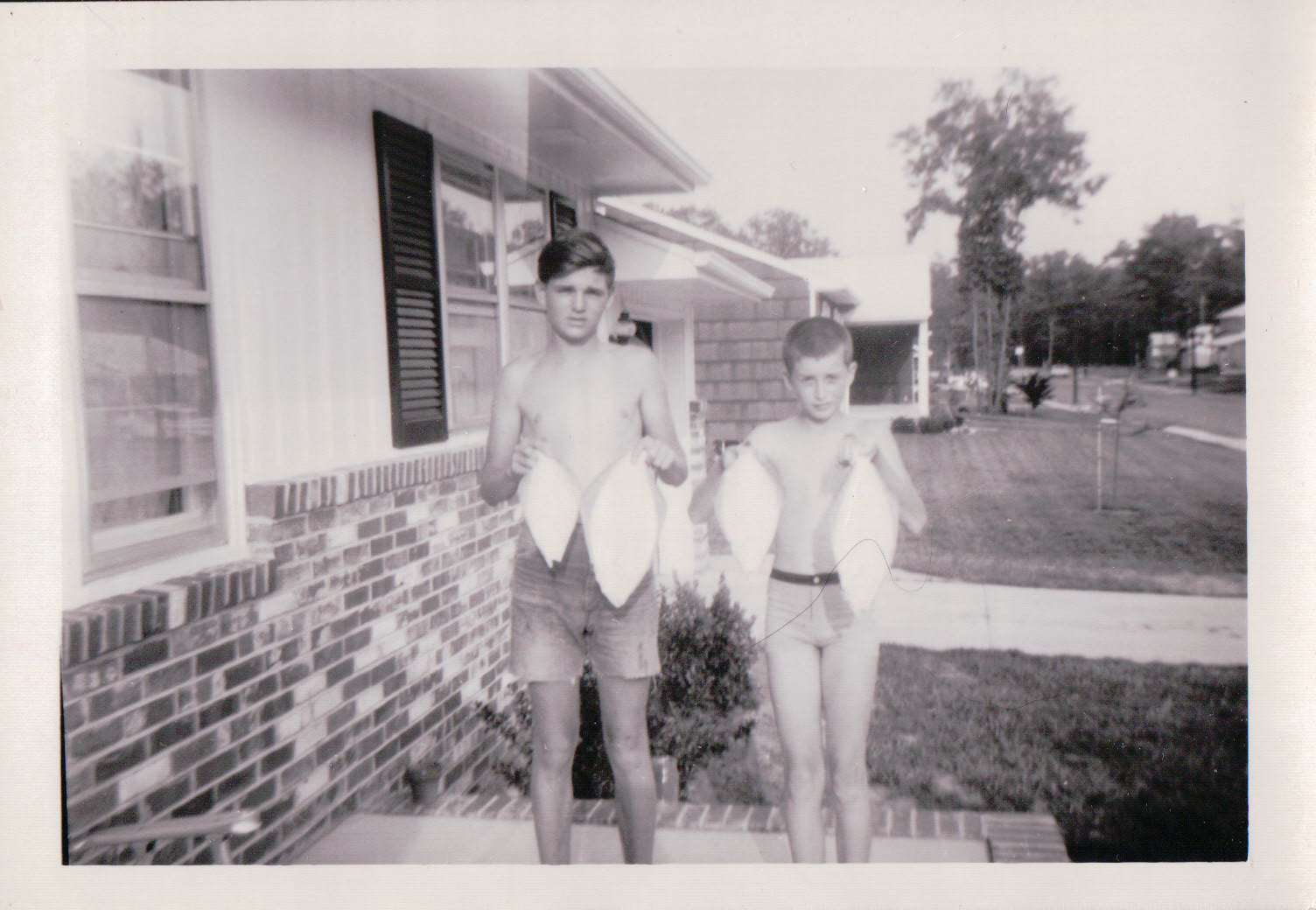 151.JPG  by Terry Kelly Photography