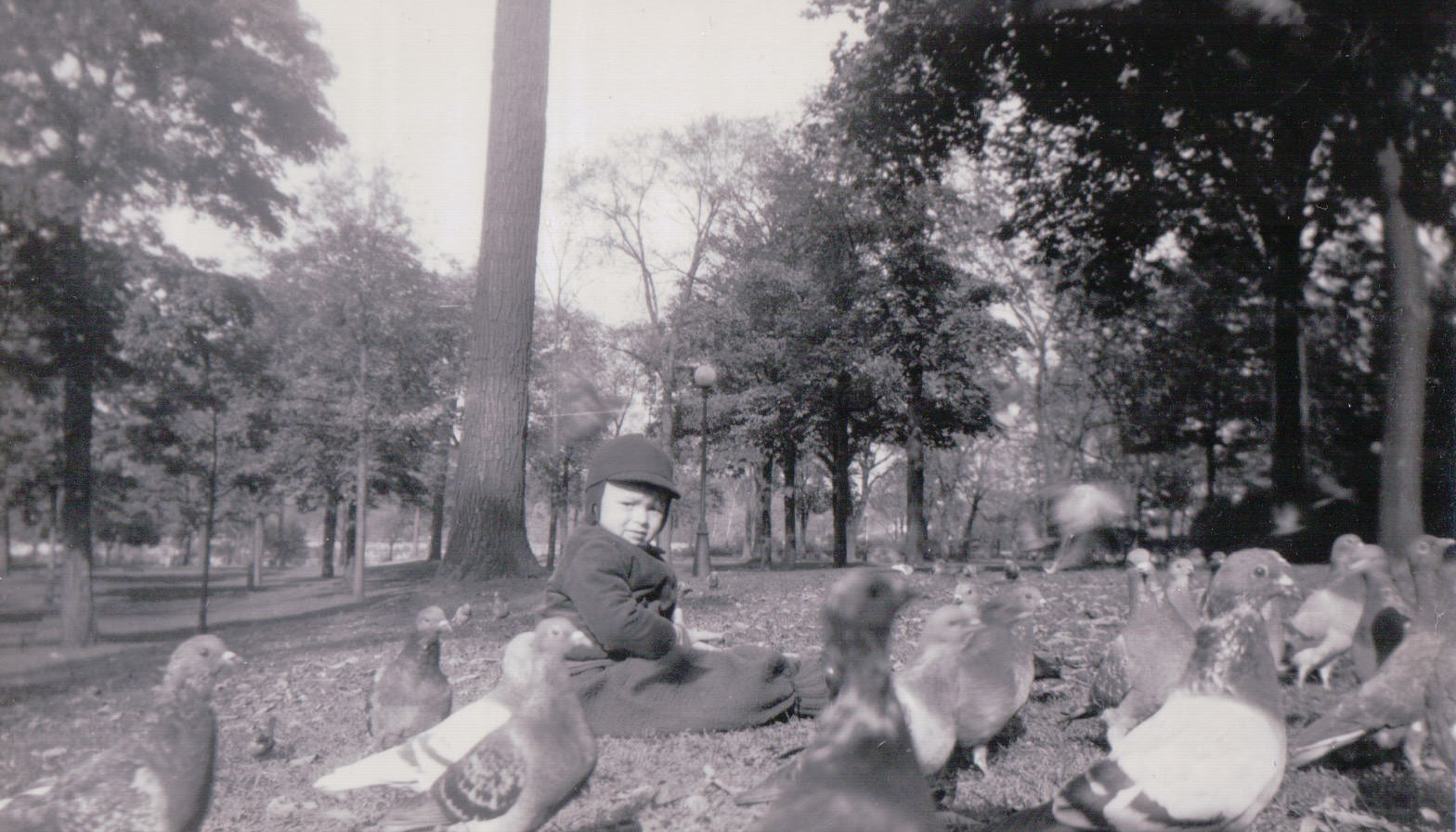 1381.JPG  by Terry Kelly Photography