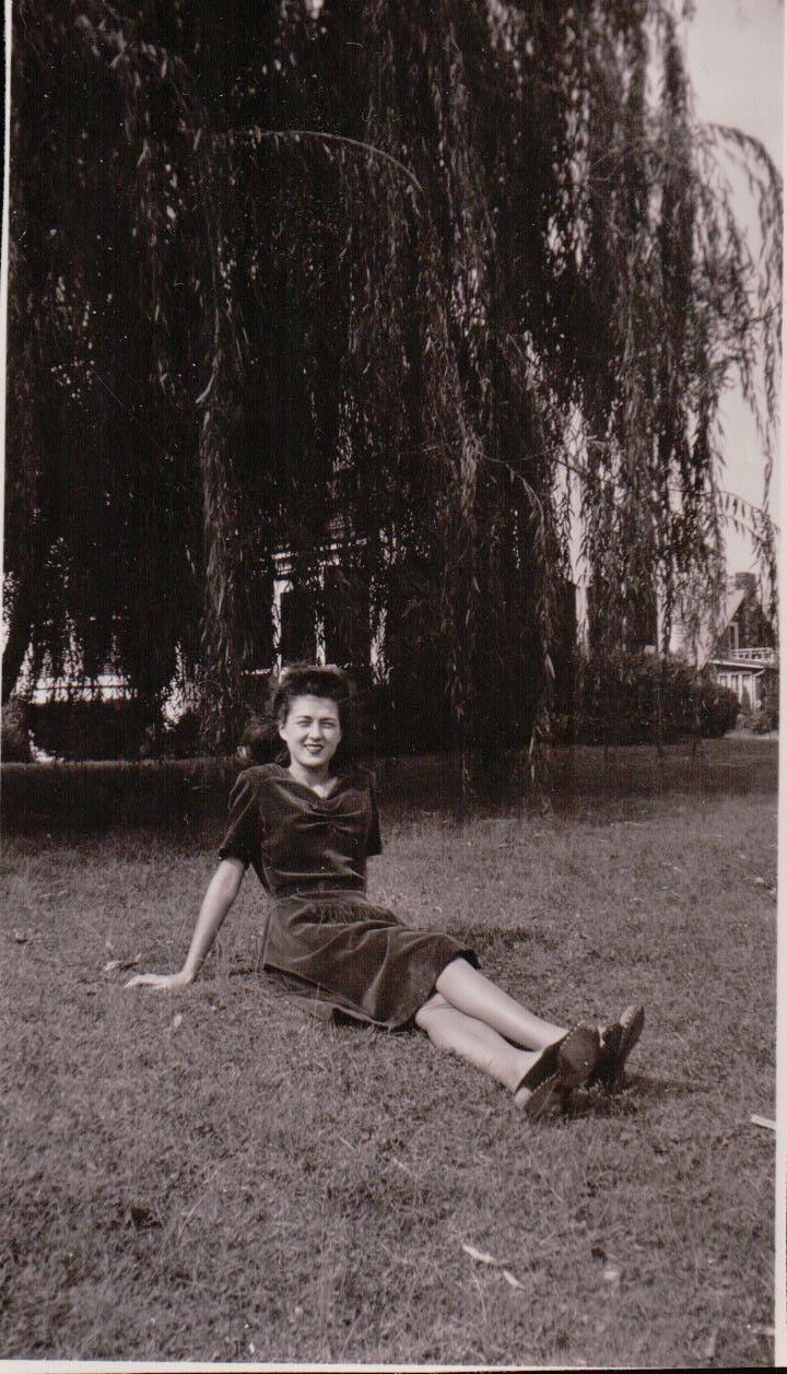 1191.JPG  by Terry Kelly Photography