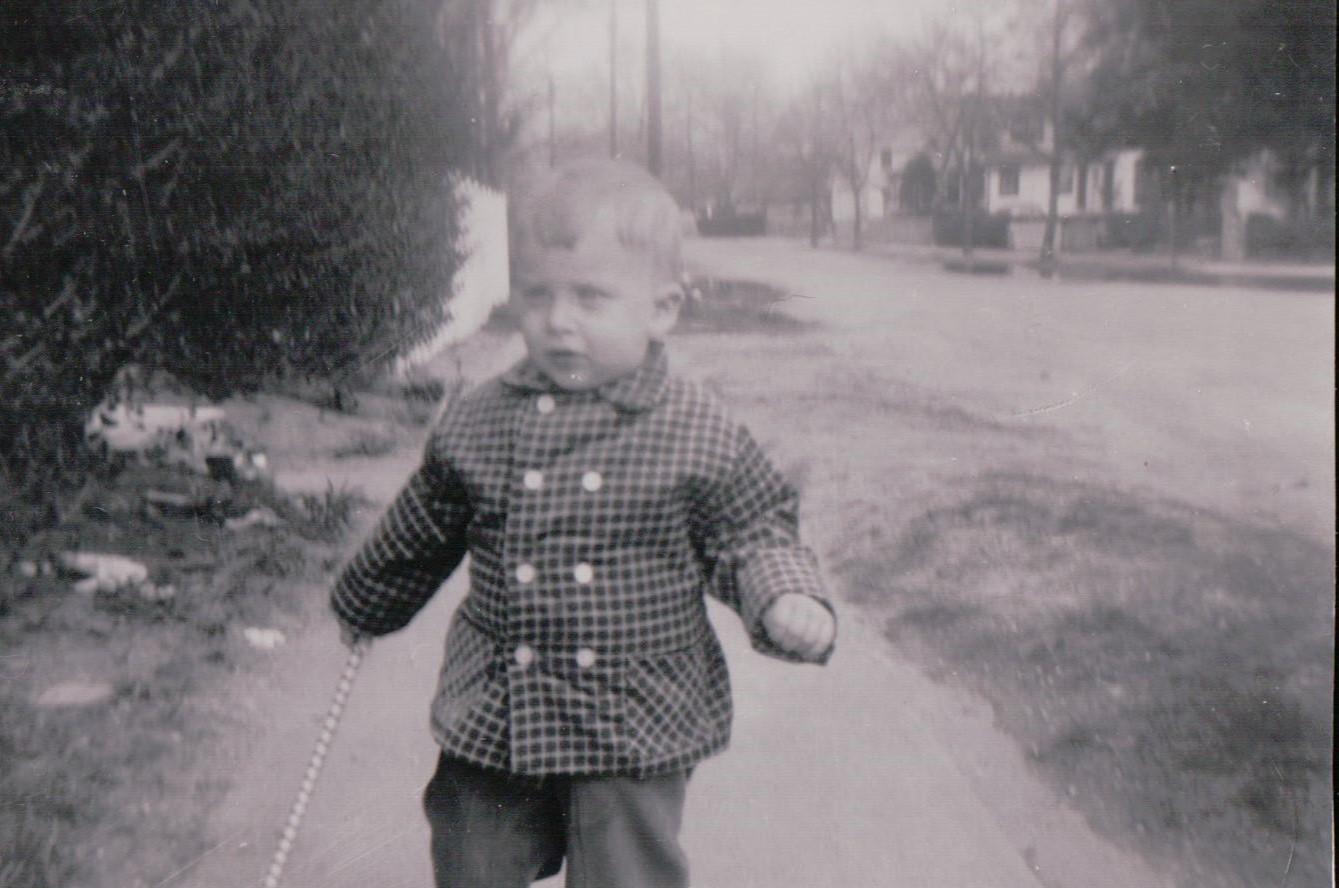 237.JPG  by Terry Kelly Photography