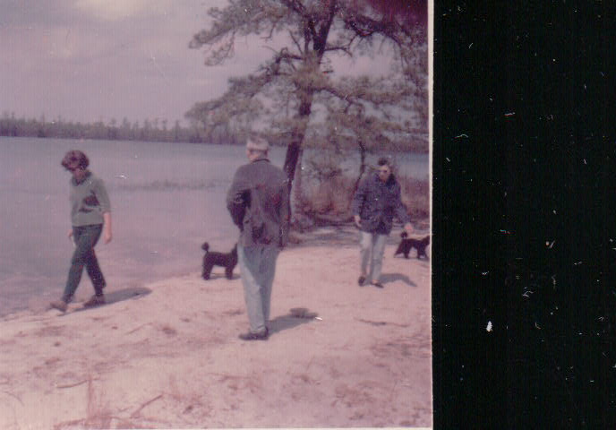 451.JPG  by Terry Kelly Photography