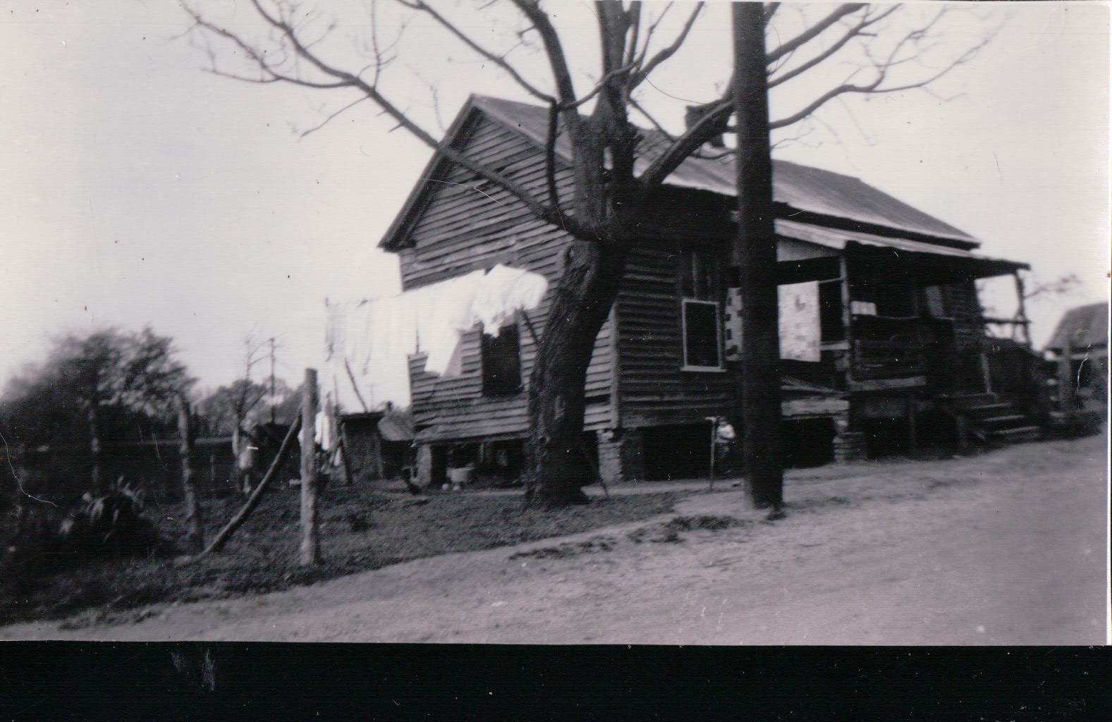 262.JPG  by Terry Kelly Photography