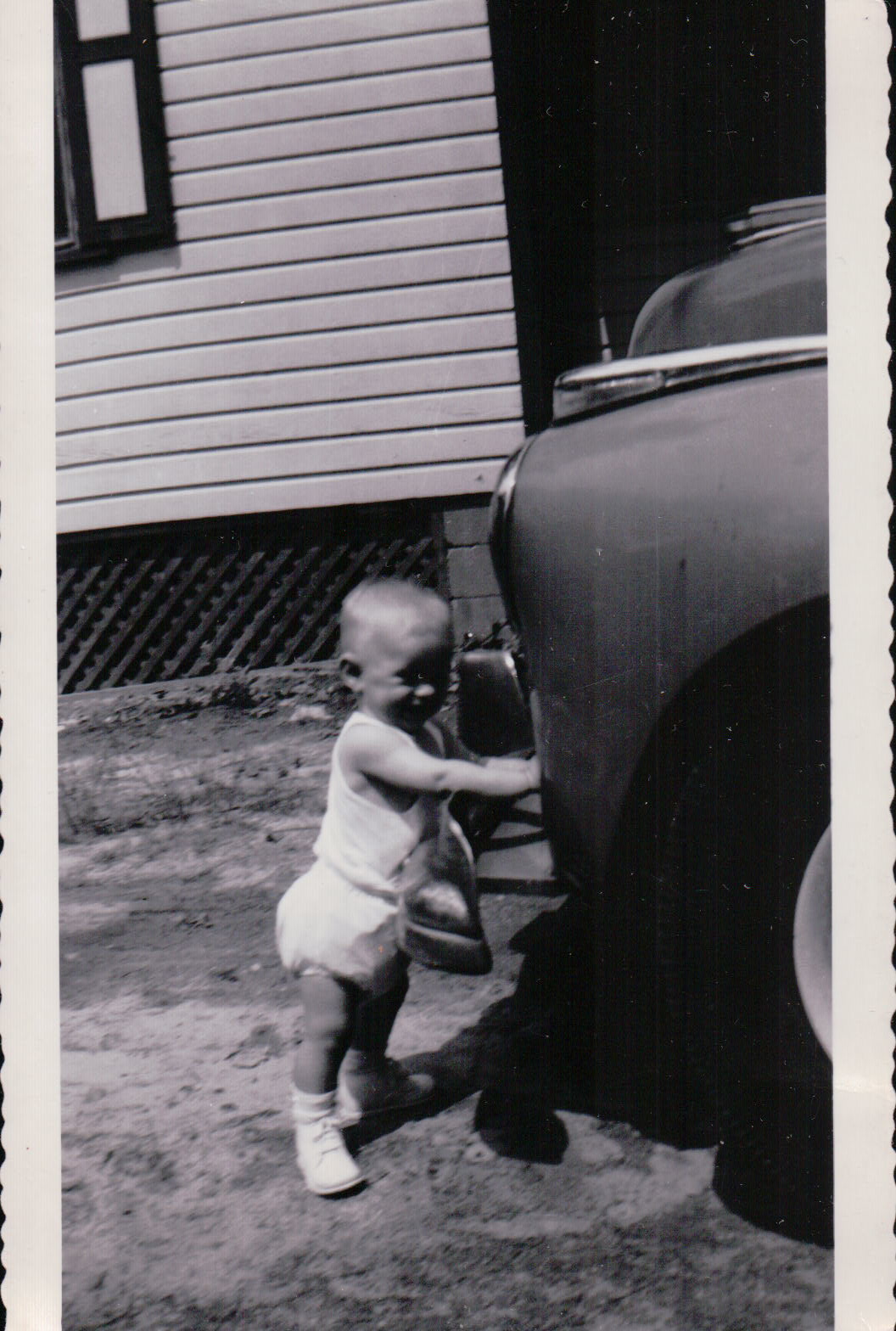 537.JPG  by Terry Kelly Photography