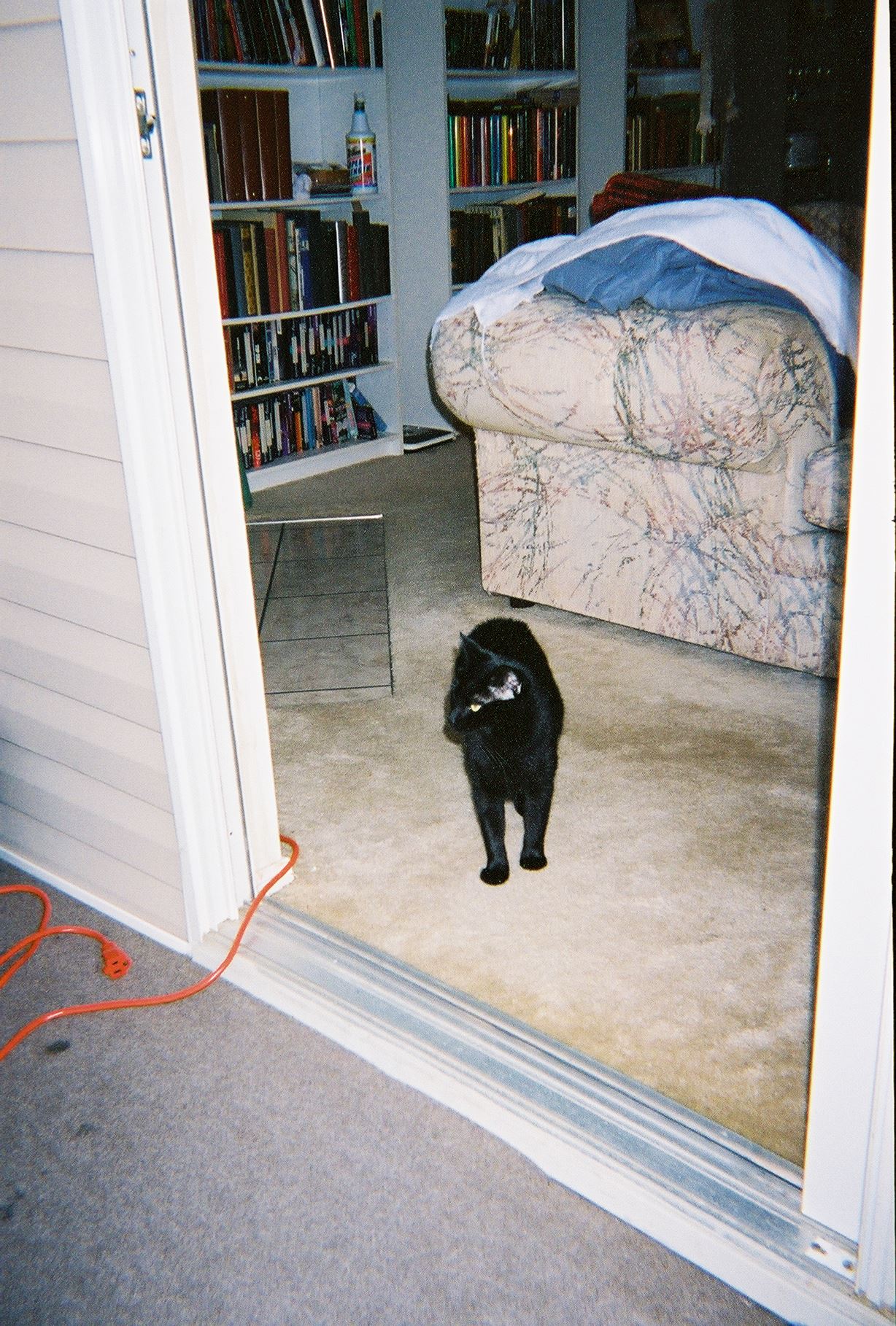 967703-R1-2A.jpg  by Terry Kelly Photography